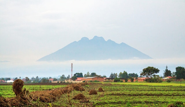 Kongo Cumhuriyeti