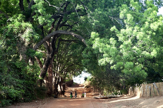 Gine-Bissau