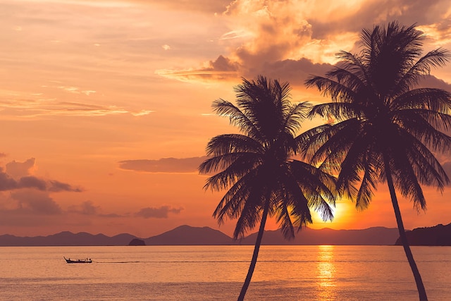 Hawaii Adaları