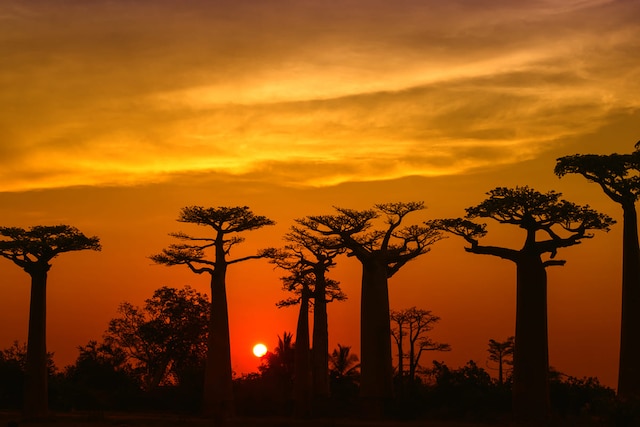 Madagaskar