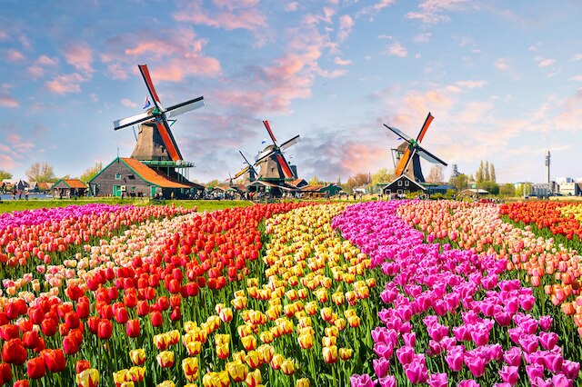 Hollanda