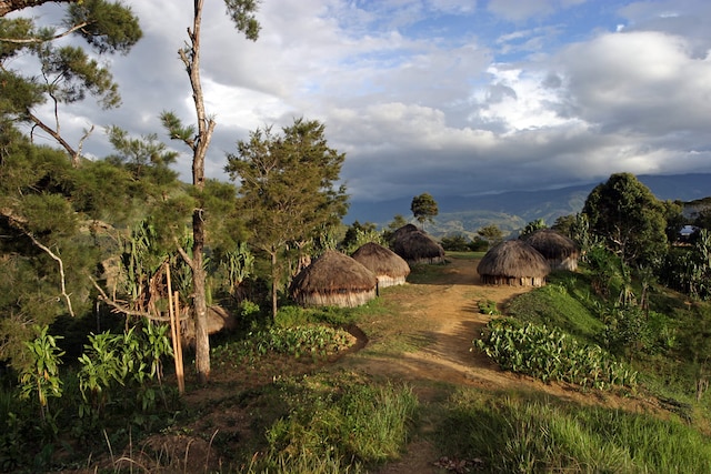 Papua Yeni Gine