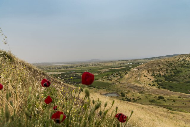 Suriye Arap Cumhuriyeti