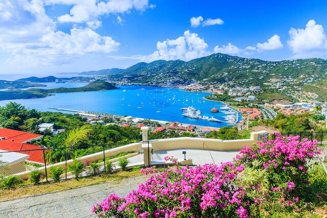 Amerika Birleşik Devletleri Virgin Islands